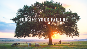Forgive Your Failure - Lessons from the Sheep Pen