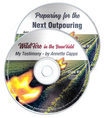 Supernatural Encounters with the Holy Spirit - Wildfire and the Next Outpouring