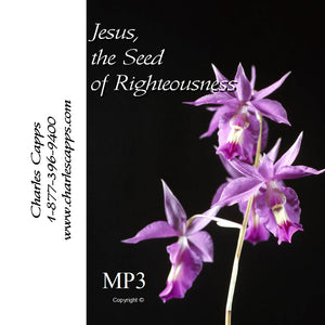 Jesus the Seed of Righteousness