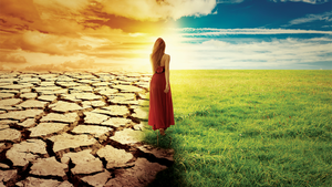 This Time Tomorrow: Courage, Hope, Fulfillment