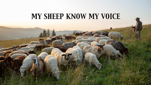 Hearing the Voice of the Good Shepherd - Lessons from the Sheep Pen