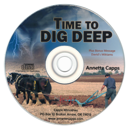 Time to Dig Deep by Annette Capps cappsministries.com