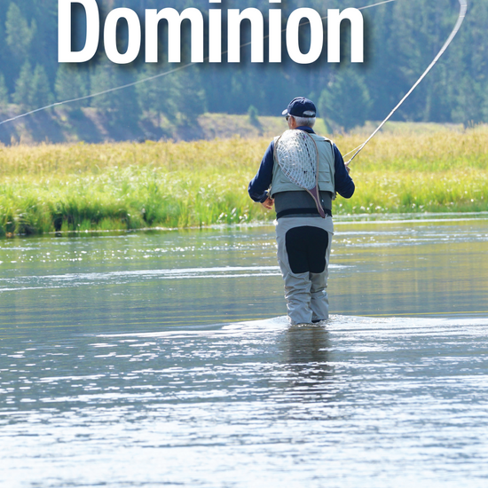 Created to Have Dominion Pamphlet cappsministries.com