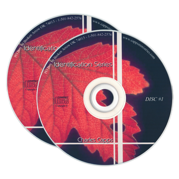 Identification Series CD's, by Charles Capps cappsministries.com