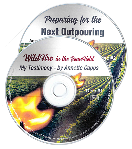 Supernatural Encounters in the Bean Field by Annette Capps cappsministries.com