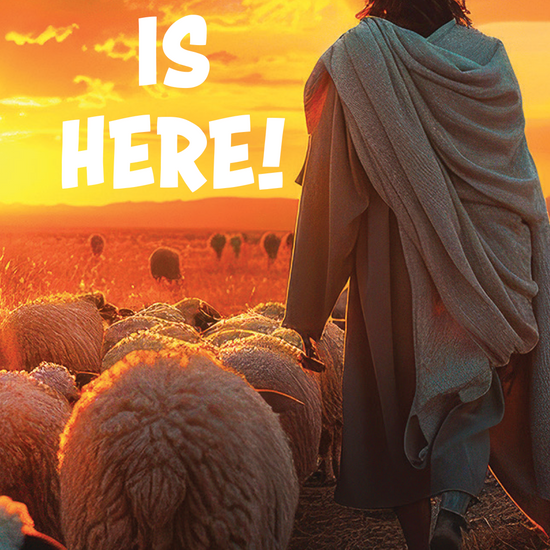 Have NO Fear! Jesus is Here! pamphlet