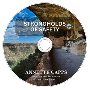 strongholds of safety CD image