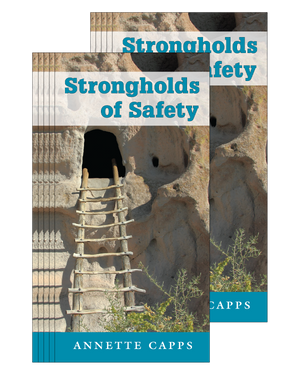 strongholds of safety 10 pack image