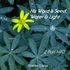 Charles Capps His Word is Seed Water & Light MP3